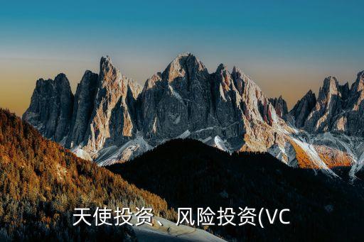 天使投資、風(fēng)險(xiǎn)投資(VC