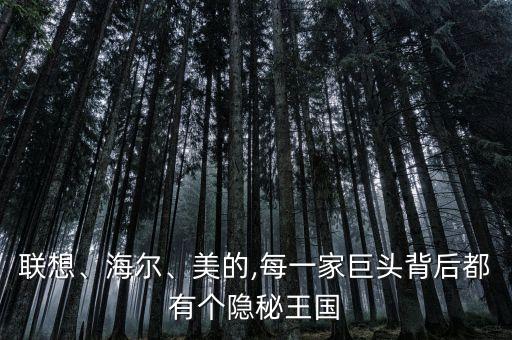 聯(lián)想、海爾、美的,每一家巨頭背后都有個隱秘王國
