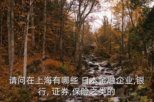 請(qǐng)問(wèn)在上海有哪些 日本金融企業(yè),銀行, 證券,保險(xiǎn)之類(lèi)的
