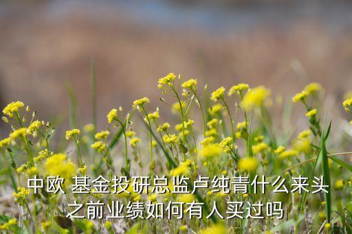  中歐 基金投研總監(jiān)盧純青什么來頭之前業(yè)績(jī)?nèi)绾斡腥速I過嗎