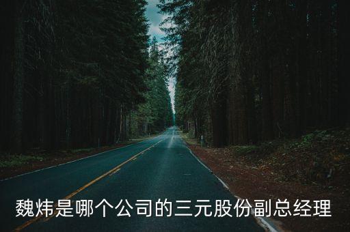 魏煒是哪個公司的三元股份副總經理