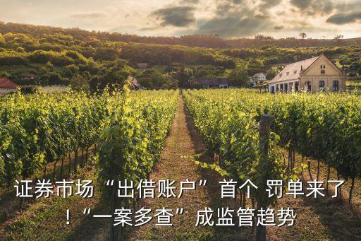 證券市場(chǎng)“出借賬戶(hù)”首個(gè) 罰單來(lái)了!“一案多查”成監(jiān)管趨勢(shì)