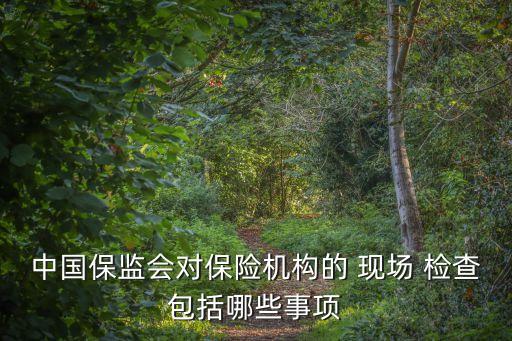 中國保監(jiān)會(huì)對(duì)保險(xiǎn)機(jī)構(gòu)的 現(xiàn)場 檢查包括哪些事項(xiàng)