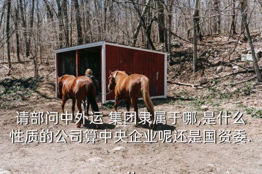 請(qǐng)部問(wèn)中外運(yùn) 集團(tuán)隸屬于哪,是什么性質(zhì)的公司算中央企業(yè)呢還是國(guó)資委...