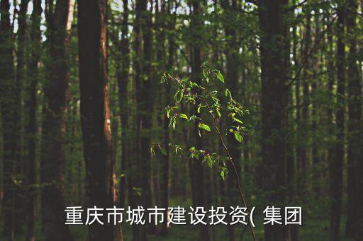  重慶市城市建設(shè)投資( 集團
