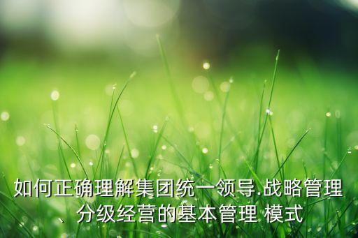 如何正確理解集團統(tǒng)一領(lǐng)導(dǎo).戰(zhàn)略管理、分級經(jīng)營的基本管理 模式