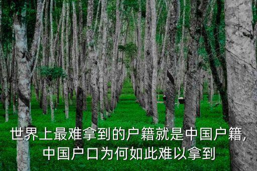 世界上最難拿到的戶(hù)籍就是中國(guó)戶(hù)籍,中國(guó)戶(hù)口為何如此難以拿到