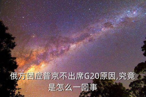 2014二十國集團領(lǐng)導(dǎo)人峰會