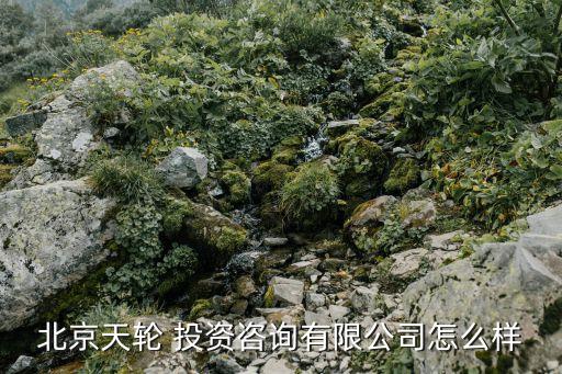 北京天輪 投資咨詢(xún)有限公司怎么樣