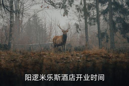 陽邏米樂斯酒店開業(yè)時(shí)間