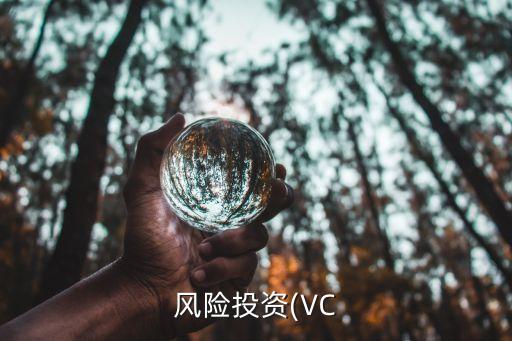 風(fēng)險投資(VC