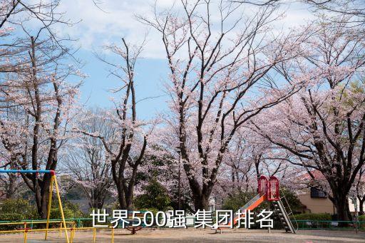世界500強 集團(tuán)排名