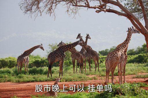 股票提前掛單有效嗎,股票能提前一天掛單買(mǎi)賣(mài)嗎