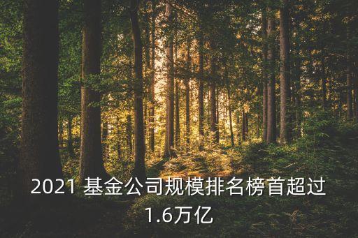 第八屆金?；鸺敖鹋；鸸精@獎名單