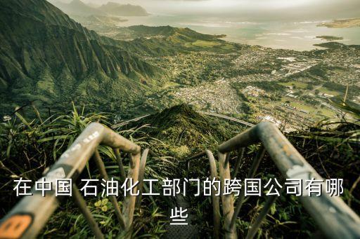 在中國(guó) 石油化工部門的跨國(guó)公司有哪些