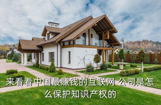 來(lái)看看中國(guó)最賺錢的互聯(lián)網(wǎng) 公司是怎么保護(hù)知識(shí)產(chǎn)權(quán)的