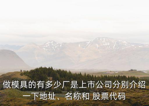 做模具的有多少?gòu)S是上市公司分別介紹一下地址、名稱(chēng)和 股票代碼