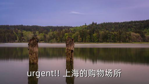 urgent!! 上海的購(gòu)物場(chǎng)所