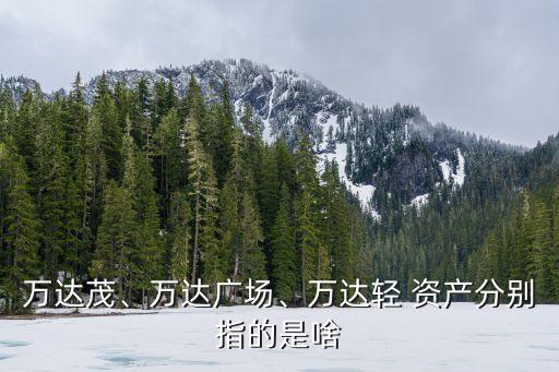 萬(wàn)達(dá)茂、萬(wàn)達(dá)廣場(chǎng)、萬(wàn)達(dá)輕 資產(chǎn)分別指的是啥
