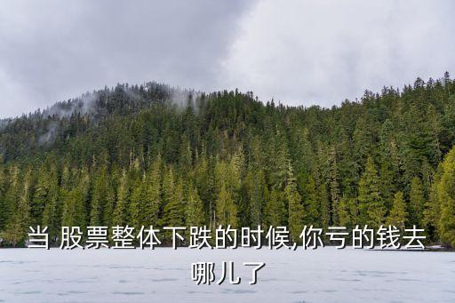 股票虧損的錢去哪了