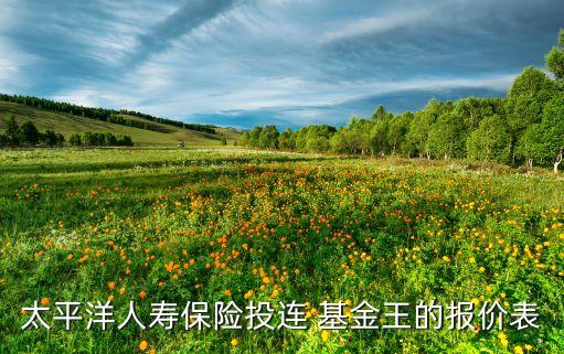 生命富泰贏(yíng)家基金價(jià)格