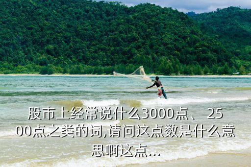 股市上經(jīng)常說什么3000點(diǎn)、 2500點(diǎn)之類的詞,請問這點(diǎn)數(shù)是什么意思啊這點(diǎn)...
