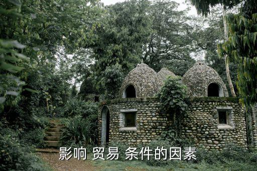 影響 貿易 條件的因素