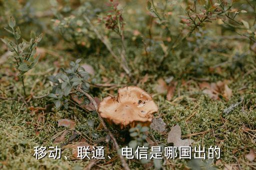 移動(dòng)、聯(lián)通、電信是哪國(guó)出的