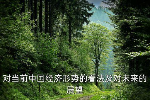 對(duì)當(dāng)前中國(guó)經(jīng)濟(jì)形勢(shì)的看法及對(duì)未來的展望