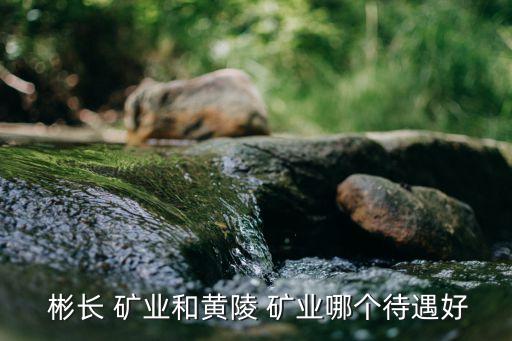 陜西彬長礦業(yè)集團(tuán)有限公司煤化工公司,2、陜西彬長礦業(yè)集團(tuán)有限公司