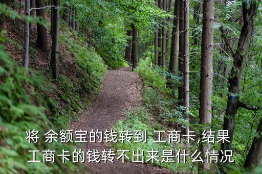 將 余額寶的錢轉到 工商卡,結果 工商卡的錢轉不出來是什么情況