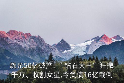 燒光50億破產(chǎn)!“ 鉆石大王”狂撒千萬、收割女星,今負(fù)債16億栽倒