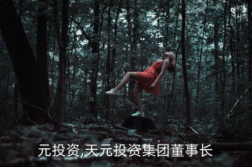 宏天元投資,天元投資集團(tuán)董事長