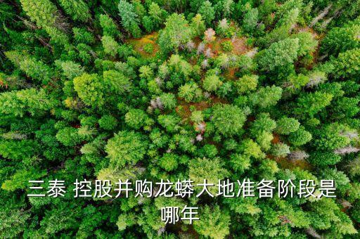  三泰 控股并購龍蟒大地準備階段是哪年