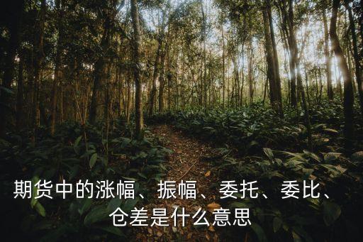 期貨中的漲幅、振幅、委托、委比、 倉差是什么意思