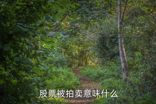  股票被拍賣(mài)意味什么