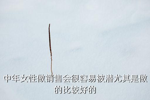 中年女性做銷(xiāo)售會(huì)很容易被潛尤其是做的比較好的