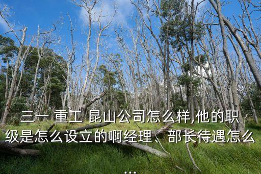 三一 重工 昆山公司怎么樣,他的職級(jí)是怎么設(shè)立的啊經(jīng)理、部長待遇怎么...