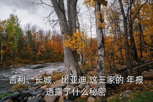 吉利、長(zhǎng)城、比亞迪,這三家的 年報(bào)透露了什么秘密
