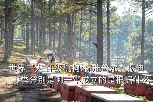 世界三大 評(píng)級(jí)機(jī)構(gòu):標(biāo)準(zhǔn)普爾、穆迪、惠譽(yù)分別是哪一年成立的是根據(jù)什么...