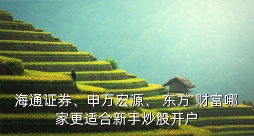 海通證券、申萬宏源、 東方 財富哪家更適合新手炒股開戶