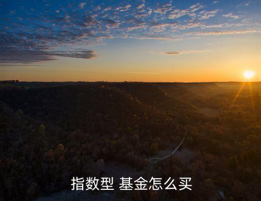 上證央企指數(shù)基金,央企科技引領(lǐng)指數(shù)基金