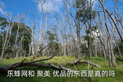 怎么買(mǎi)聚美優(yōu)品的股票,怎么沒(méi)有聚美優(yōu)品了