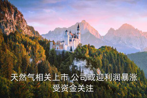  天然氣相關上市 公司或迎利潤暴漲受資金關注