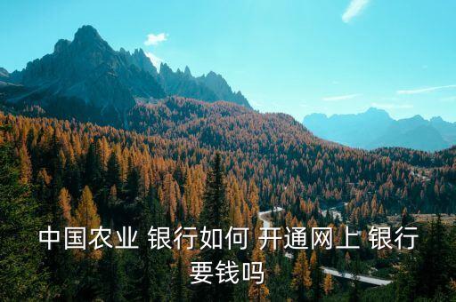 農(nóng)行掌上銀行開通費(fèi)用
