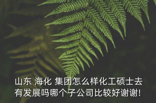 山東 海化 集團(tuán)怎么樣化工碩士去有發(fā)展嗎哪個子公司比較好謝謝!