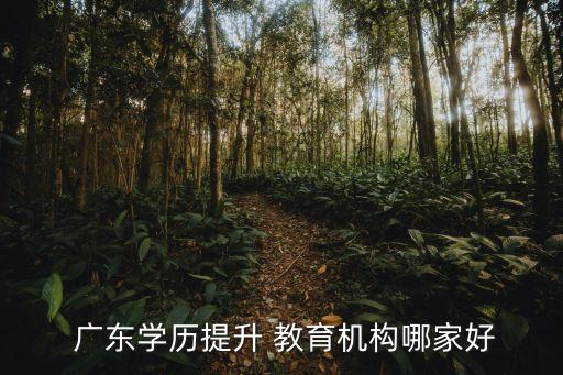  廣東學歷提升 教育機構(gòu)哪家好