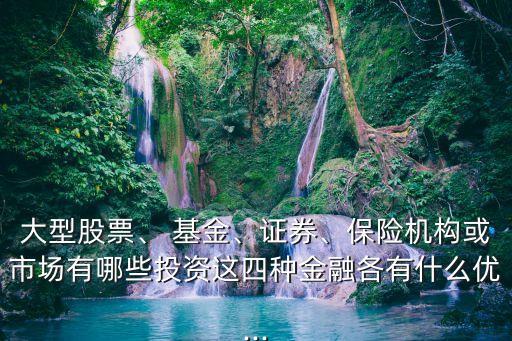大型股票、 基金、證券、保險機構或市場有哪些投資這四種金融各有什么優(yōu)...