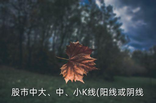 股市中大、中、小K線(陽線或陰線