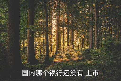 國內(nèi)哪個(gè)銀行還沒有 上市